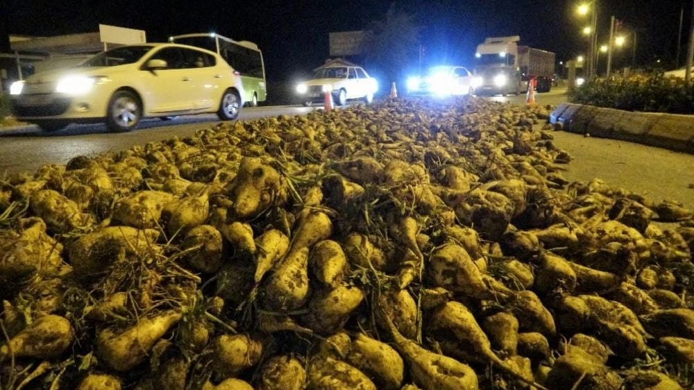 Tırdan yola dökülen pancarı topladılar