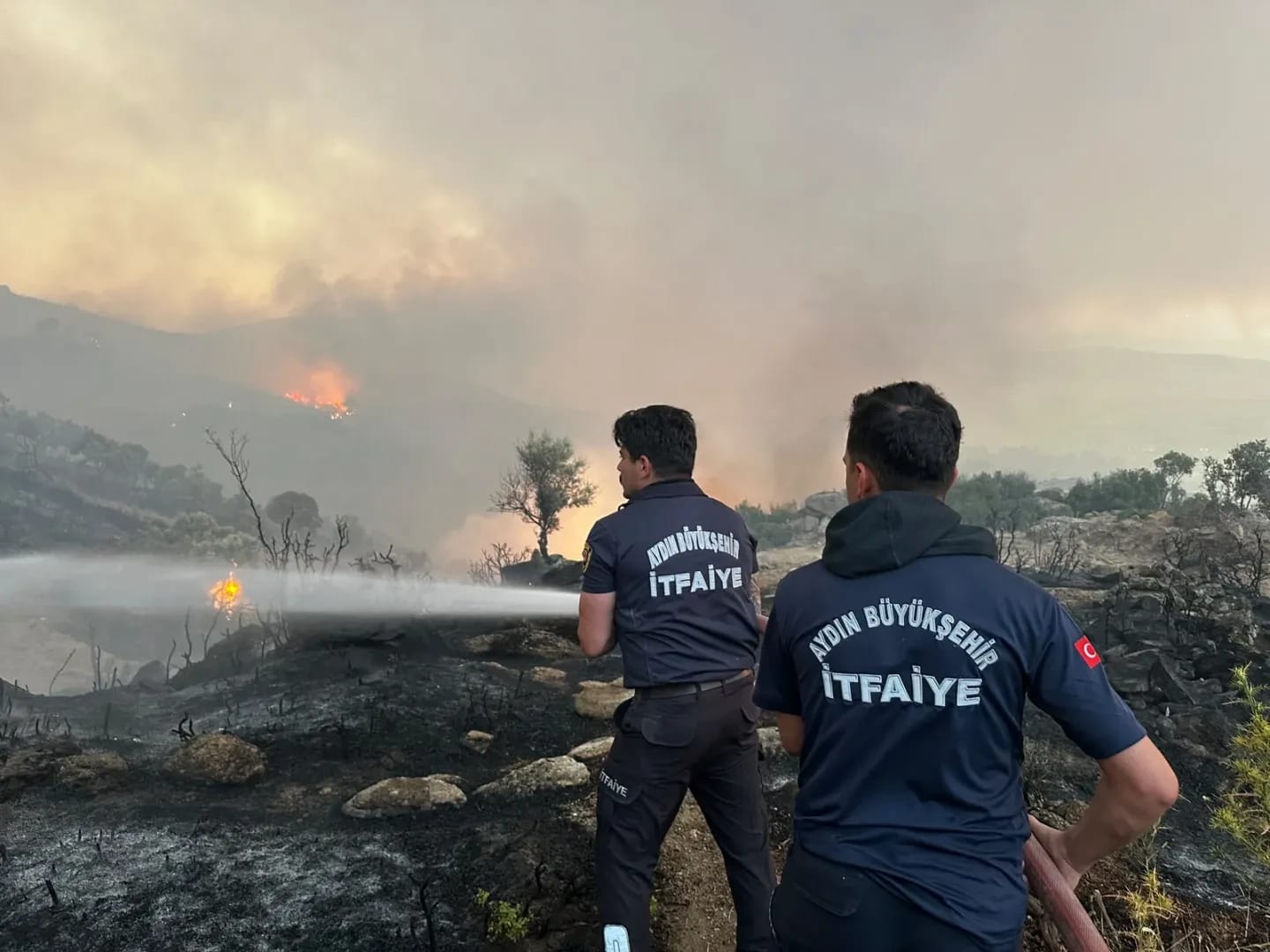 Aydın Büyükşehir Belediyesi İtfaiyesi Bir Haftada 446 Yangına Müdahale Etti