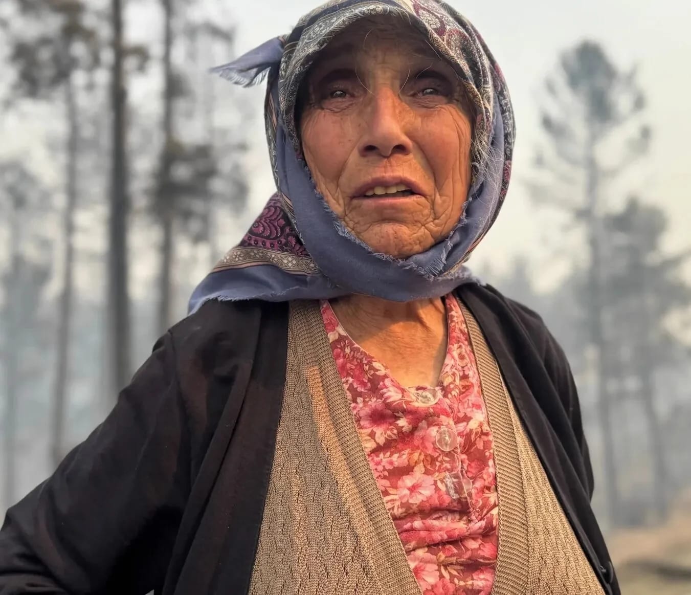Çine Yangınının En Acı Hikayelerinden Biri: Arzu Teyzenin Feryadı Yürek Burktu