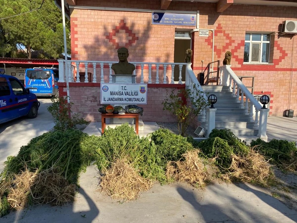 Manisa’da uyuşturucu operasyonu