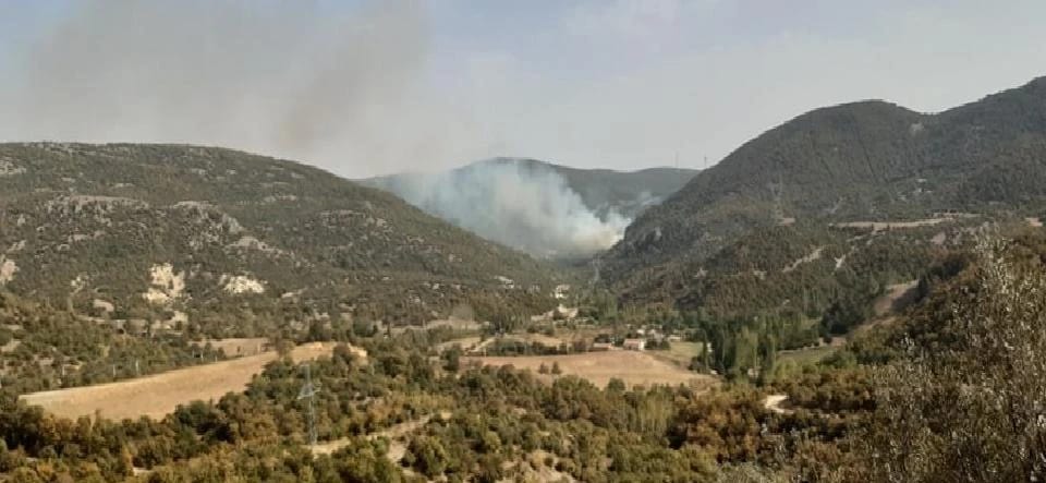 Manisa’da 8 hektar ormanlık alan yangında kül oldu