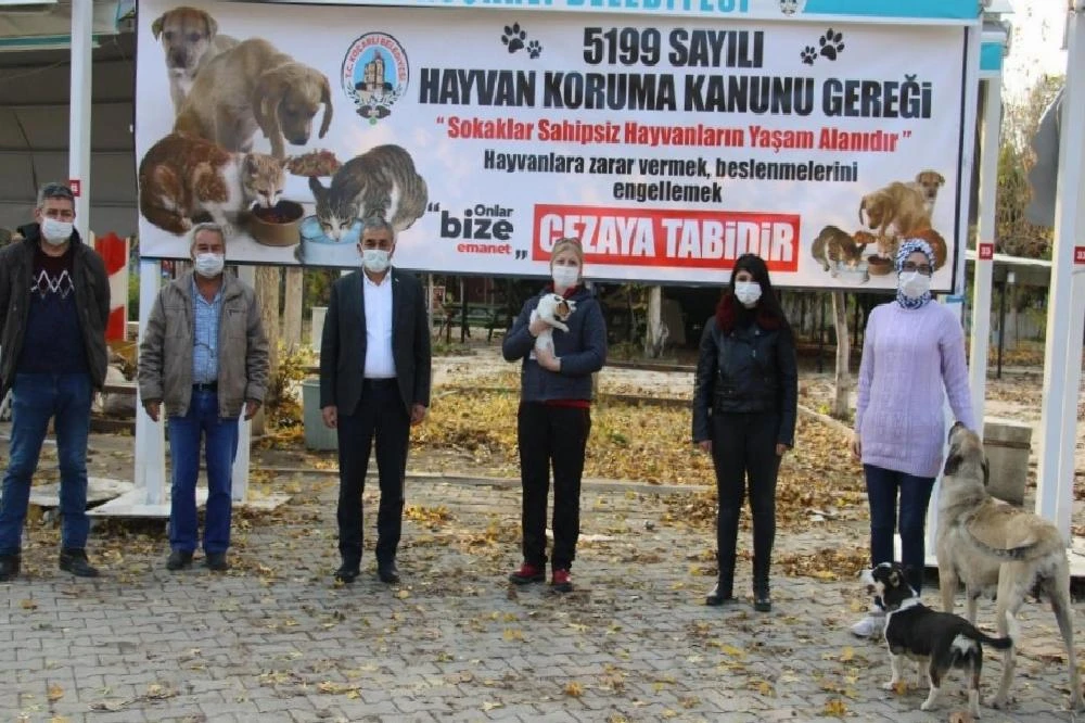 Koçarlı’ya hayvan hakları ile ilgili bilgilendirme pankartları asıldı