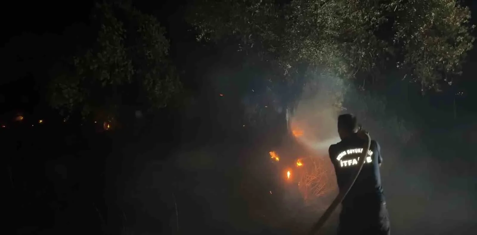 Aydın’da zeytinlik yangını: Yaklaşık 200 ağaç zarar gördü